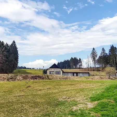 2 Bedroom Amazing In Masserberg Fehrenbach